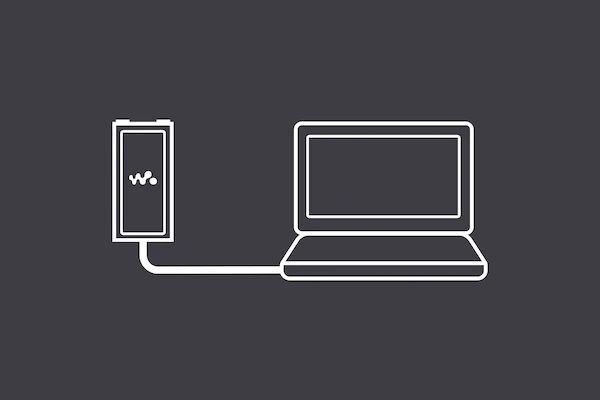 Máy nghe nhạc Sony NW-ZX300