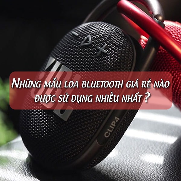 Những mẫu loa bluetooth giá rẻ nào được sử dụng nhiều nhất ?