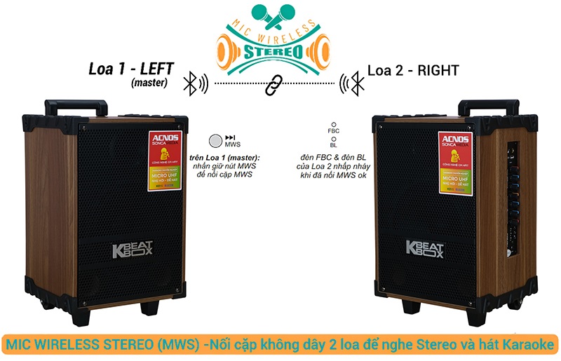 Loa Acnos CS120 tính năng