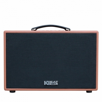 Loa Karaoke mini xách tay ACNOS CS200PU