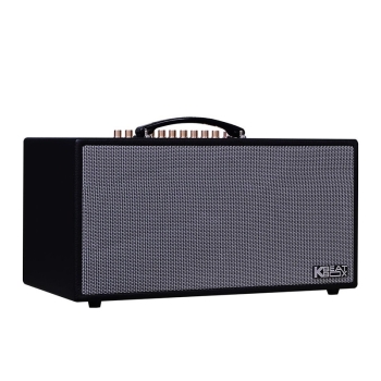 Loa Acnos CS450 Alpha