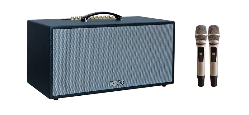 null mua loa Loa Acnos CS451 chính hãng