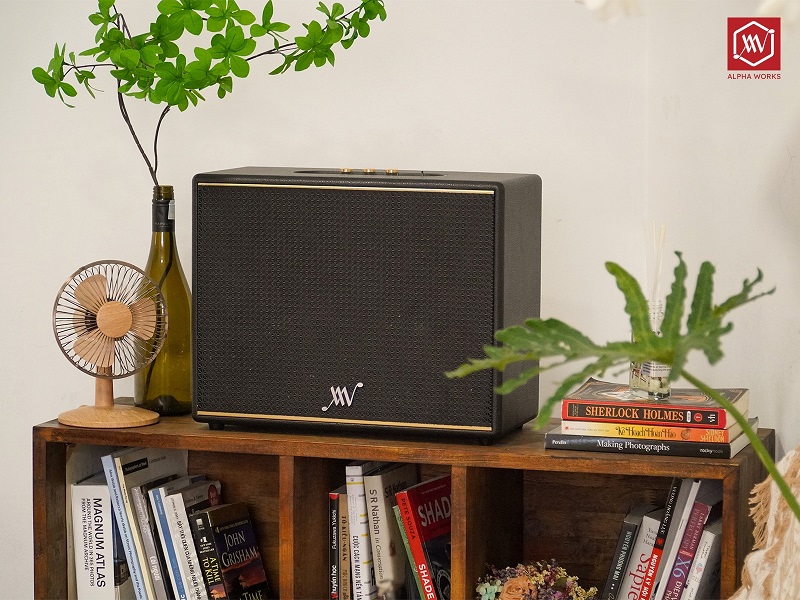 chất âm của Loa Classic V100