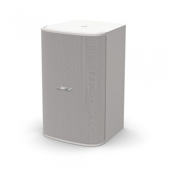 Loa Bose DesignMax DM10S