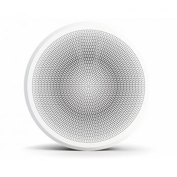 Loa Dali Phantom K-80