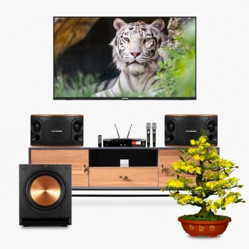 Dàn karaoke Boston Acoustics, Klipsch AT015