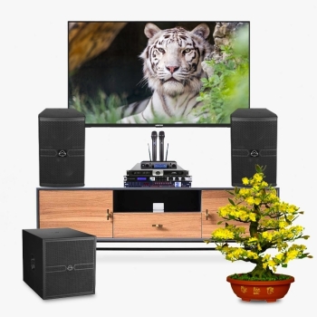 Dàn karaoke ATLA024 (Wharfedale ANGLO E15 + Wharfedale Pro ANGLO E18B + Wharfedale Pro DP-4065F + JBL KX180A + JBL VM300 + Kiwi S803)