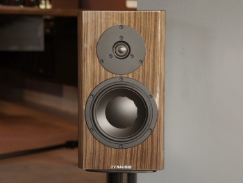 Loa Dynaudio Special Forty