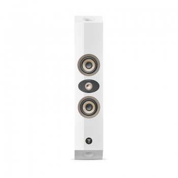 Loa Focal On Wall 301