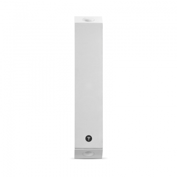 Loa Focal On Wall 301