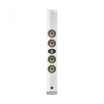 Loa Focal On Wall 302