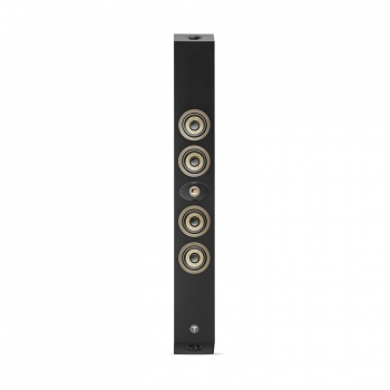 Loa Focal On Wall 302