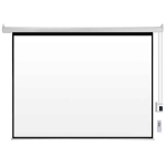 Màn chiếu điện Dalite (tỉ lệ 1:1)