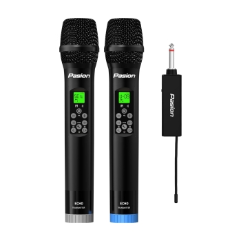 Micro PASION ECHO (2025)