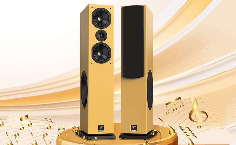 kết nối của loa cột Paramax D88 Luxury