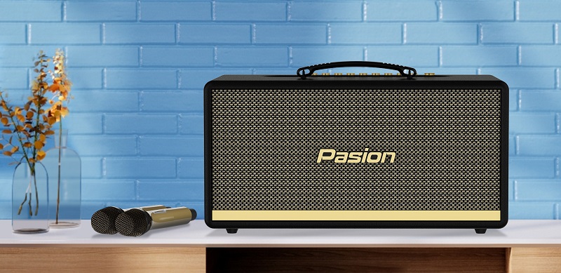 null loa kéo di động Loa Paramax Pasion 2