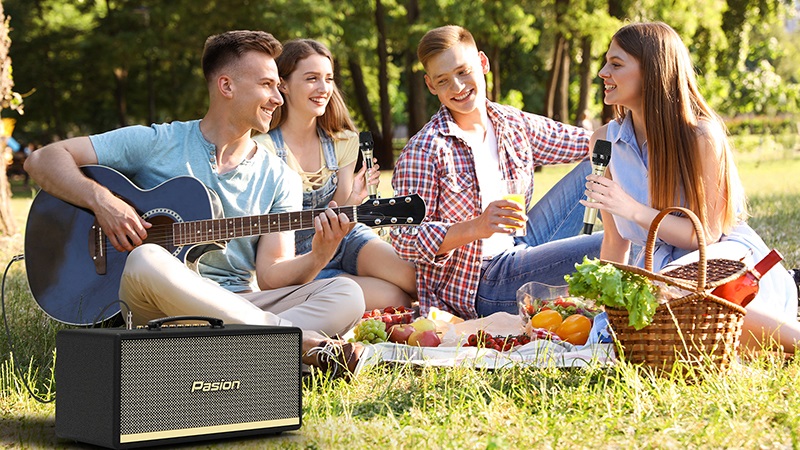 null giá của loa Loa Paramax Pasion 2