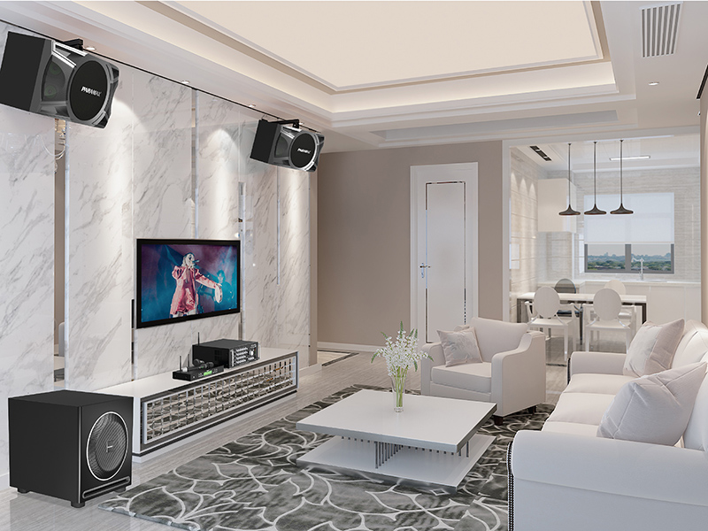 null thiết kế của loa karaoke Paramax P1000