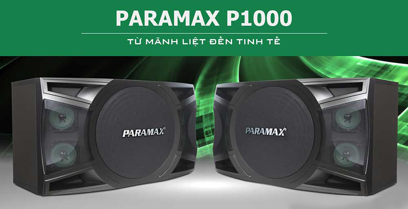 null công suất của loa karaoke Paramax P1000