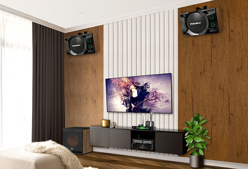 null thiết kế của loa karaoke Paramax P1500