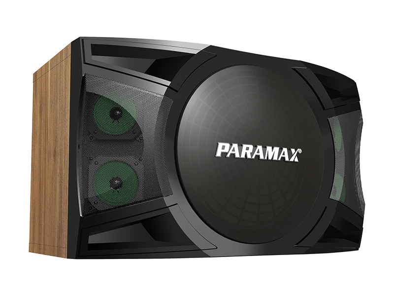 thiết kế của loa karaoke Paramax P2500