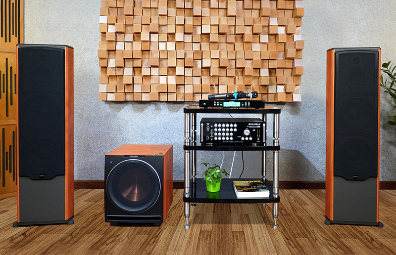 null kết nối của Amply Paramax SA-999 Air Max Limited