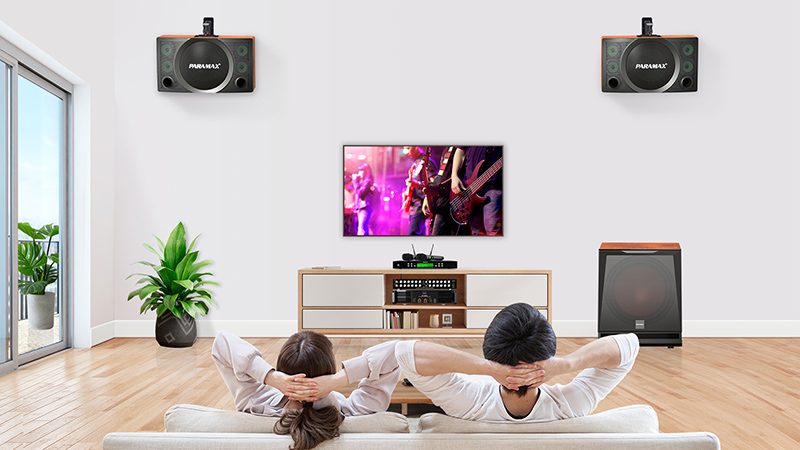 null giá của Loa karaoke Paramax SC 3500