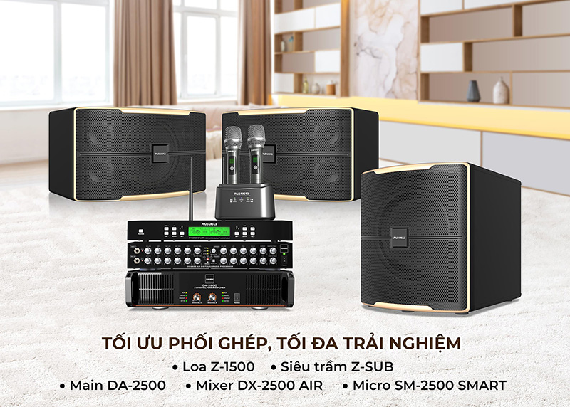 kết nối của loa karaoke Paramax Z-1500 