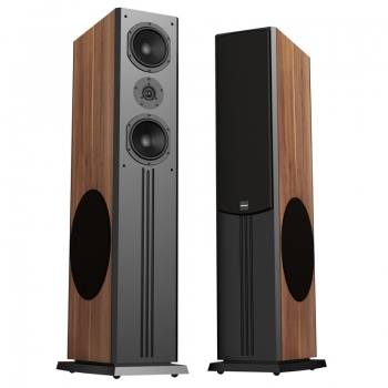 Loa Paramax D88 Limited