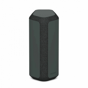 Loa Sony SRS-XE300