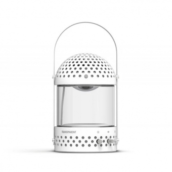 Loa Transparent The Light