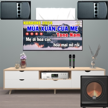 Dàn karaoke cao cấp Wharfedale và Paramax (1 Wharfedale Pro 5090 + 1 Paramax SUB-A30 + 1 Paramax Z-A450)