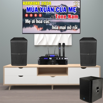 Dàn karaoke WJ01