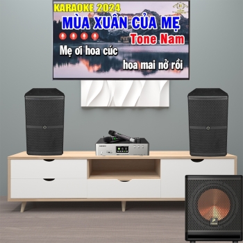 Dàn karaoke WP02 (loa Wharfedale WH12 NEO + loa P'Sound Sub-3030 + amply Paramax Z-A450)