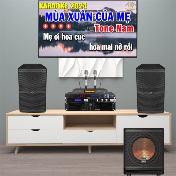 Dàn karaoke WPJ03