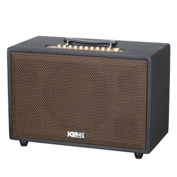 Loa Acnos CS3800 Pro