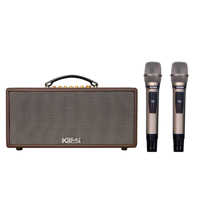 Loa Acnos CS366 Plus