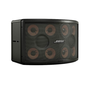 Loa Bose 802 Seri V