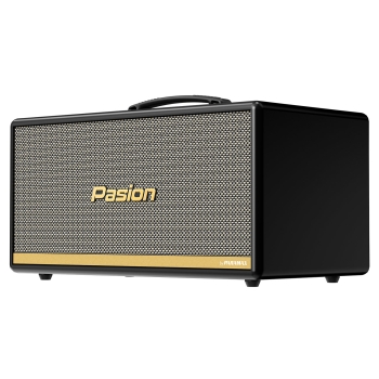 Loa Paramax Pasion 2C