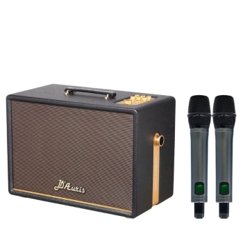 Loa Soncamedia D'Auris 300