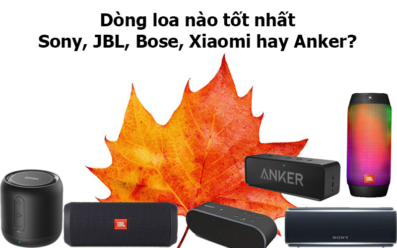Dòng loa nào tốt nhất: Sony, JBL, Bose, Xiaomi hay Anker?