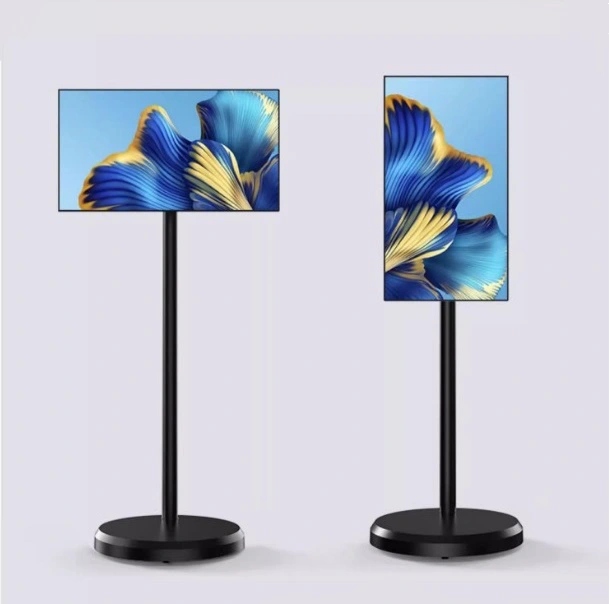 Đánh giá chi tiết Màn hình di động Tomko GoWithMe P2152J-MA