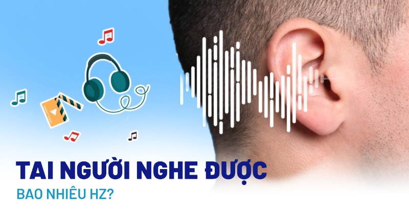 Dải Tần Số Âm Thanh Tai Người Nghe Được Là Bao Nhiêu?